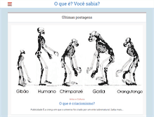 Tablet Screenshot of o-que-e.com